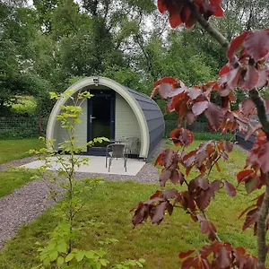 Mount Hillary Pods Cork